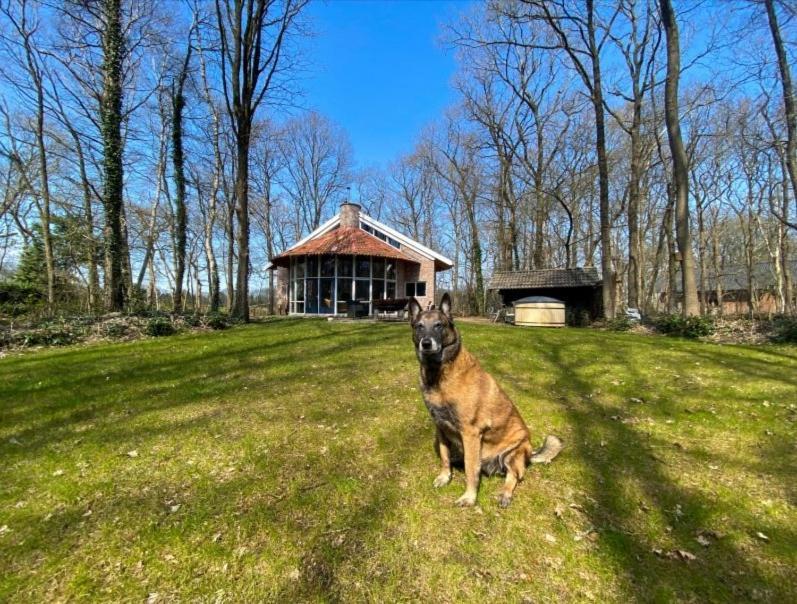 Willa De Paddestoel Wateren Zewnętrze zdjęcie
